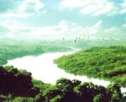 廉江明天天气